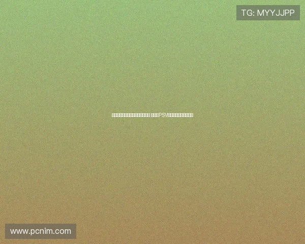 罗尔费斯：维尔茨无法被完全复制 正在与PSV洽谈蒂尔曼为核心引援